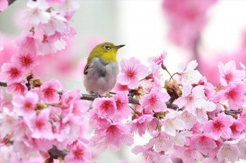 花 鳥 Painting - 桜の中の鳥 春の絵画 写真からアートへ
